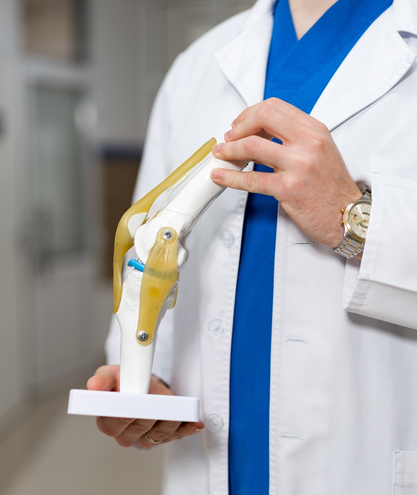 Doc,Shows,Knee,Joint,Model.,A,Medical,Professional,In,A