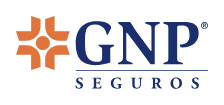 Logo de GNP Seguros - aseguradora de gastos medicos mayores